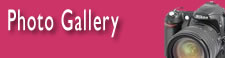 Photo Gallery