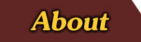 About Torah
